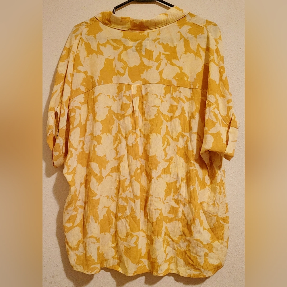 The Normal Brand - image 2